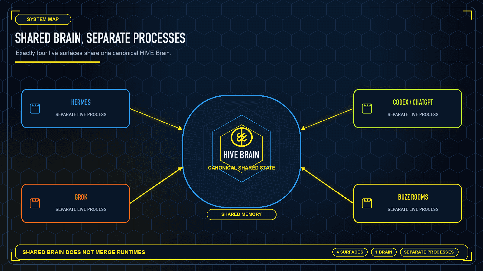 Shared Brain, Separate Processes preview